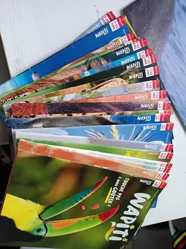 20 magazines wapiti de 2021