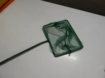 petite épuisette