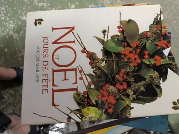 Noël et jours de fête