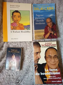 Lot 4 livres sur le bouddhisme