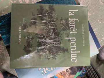 la forêt perdue