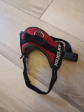 harnais petit chien Julius K9