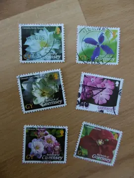 Timbres JERSEY LOT 1