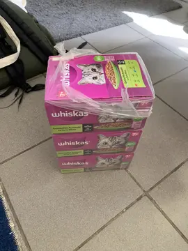 Patée pour chat