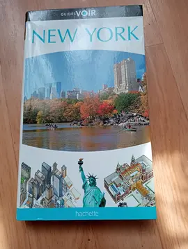 guide new York janvier 2011