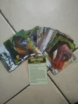Jeux du mistigri