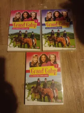 lot DVD Grand galop