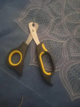 ciseaux coupe ongles animaux