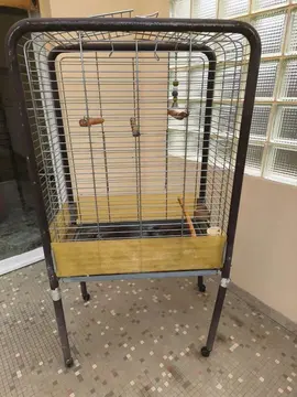 Cage à oiseaux
