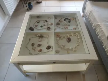 table en bois vitrée