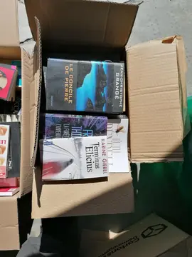 Livres policiers et littérature