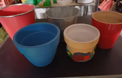 lot de petits pots