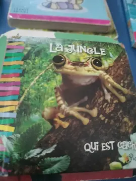 la jungle