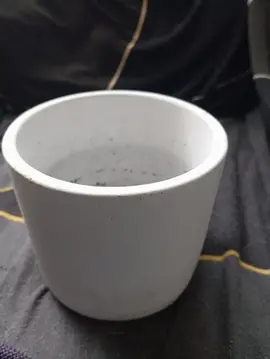 petit cache pot
