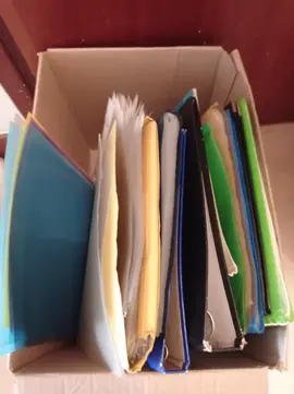 classeurs, pochettes plastiques