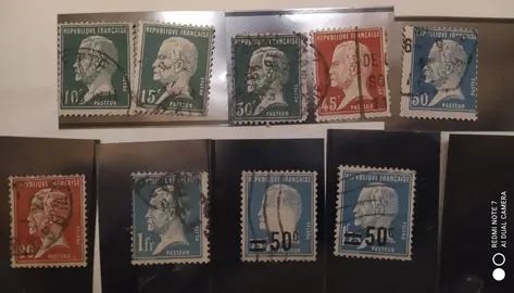 série timbres Pasteur, lot 243