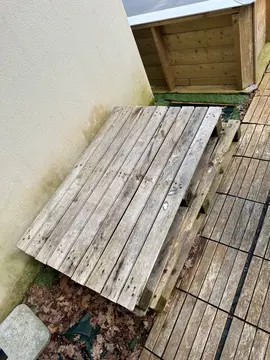 palettes