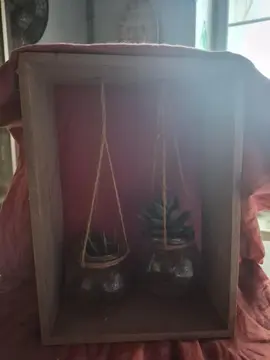 petite deco plante