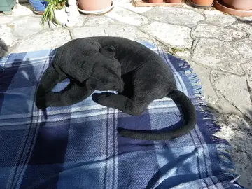 panthère noire en peluche