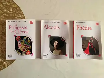Lot livres