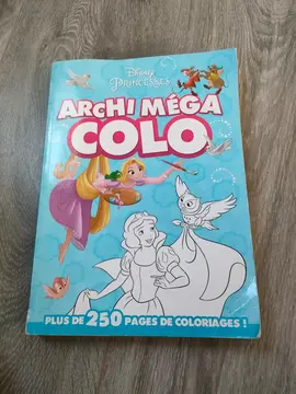 gros album de coloriage entamé