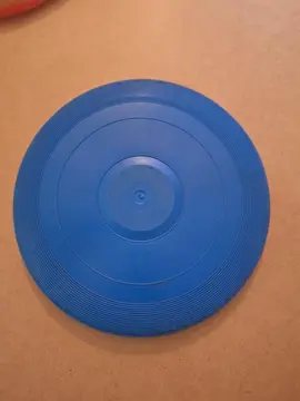 Frisbee bleu