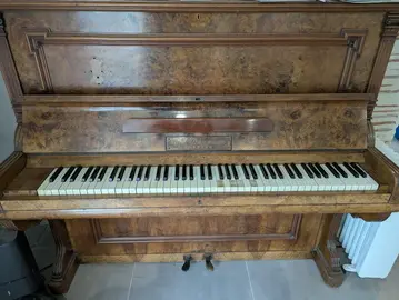 DONNE PIANO