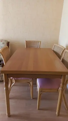 LOT : TABLE + 4 chaises