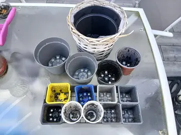 pot jardinage