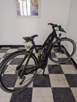 vélo à assistance électrique