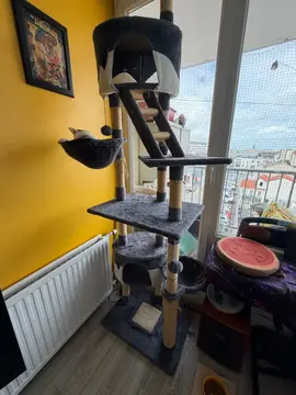 grand arbre à chat
