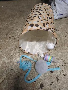 jouets chat