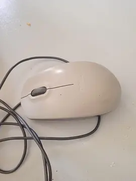 souris