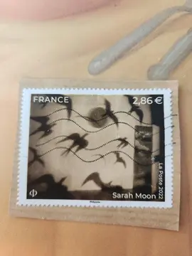 Timbre Sarah Moon