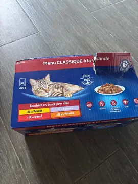pâtée pour chat