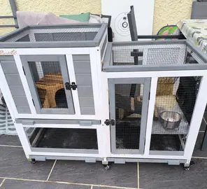 cage petits rongeurs