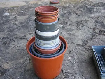 Pots pour semis