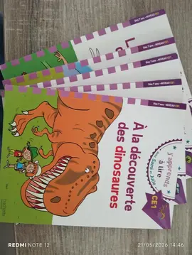 lot de 5 livres Sami et Julie ce1 (b)