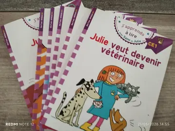 lot de 6 livres Sami et Julie ce1 (e)