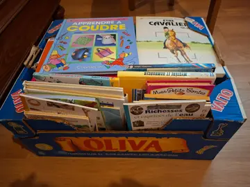 livres jeunesse