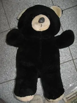Nounours noir