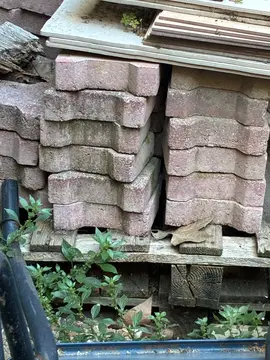 pavé