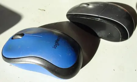 Souris sans fil