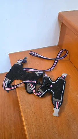 Harnais pour chat et/ou gros lapins