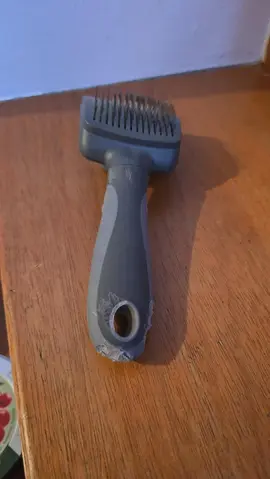 Brosse pour chats/lapins