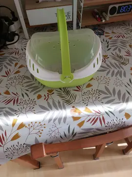 boîte transport rongeur