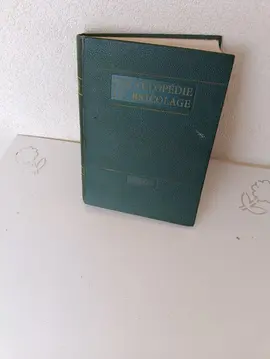 Encyclopédie du bricolage