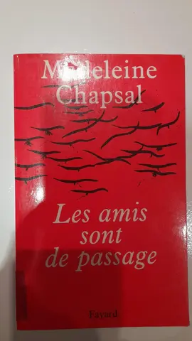 Livre : Les amis sont de passage