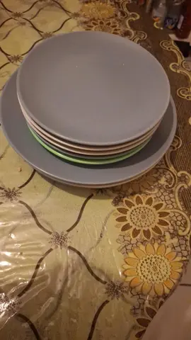 lots assiettes plates