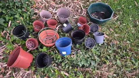 Pots pour plantes en plastique